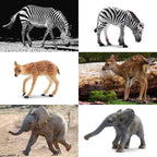 Toymany 12Pcs Forest Animal Figurines | Realistic Woodland Creatures for Cake Toppers & Play