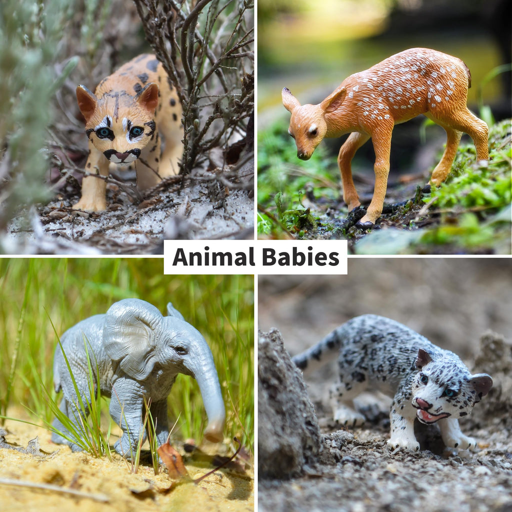 Toymany 12Pcs Forest Animal Figurines | Realistic Woodland Creatures for Cake Toppers & Play