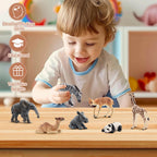 Toymany 12Pcs Forest Animal Figurines | Realistic Woodland Creatures for Cake Toppers & Play