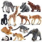 Toymany 12Pcs Forest Animal Figurines | Realistic Woodland Creatures for Cake Toppers & Play