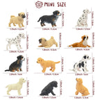 Toymany 12PCS Mini Dog Figurines Playset – Realistic Hand-Painted Puppy Figures for Cake Toppers & Kids’ Gifts