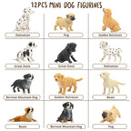 Toymany 12PCS Mini Dog Figurines Playset – Realistic Hand-Painted Puppy Figures for Cake Toppers & Kids’ Gifts