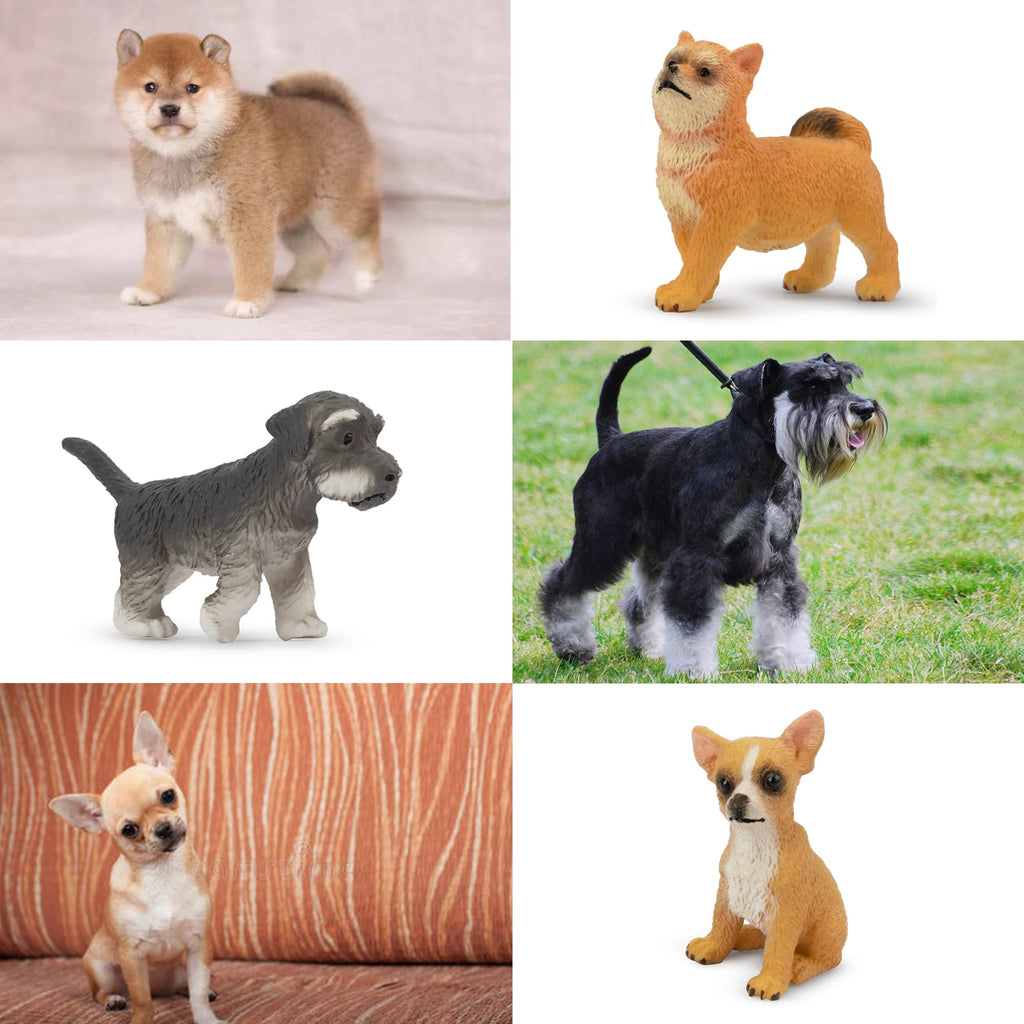 Toymany 12PCS Mini Dog Figurines Set – Hand-Painted Puppies for Play, Cake Toppers & Gifts