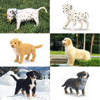 Toymany 12PCS Mini Dog Figurines Playset – Realistic Hand-Painted Puppy Figures for Cake Toppers & Kids’ Gifts
