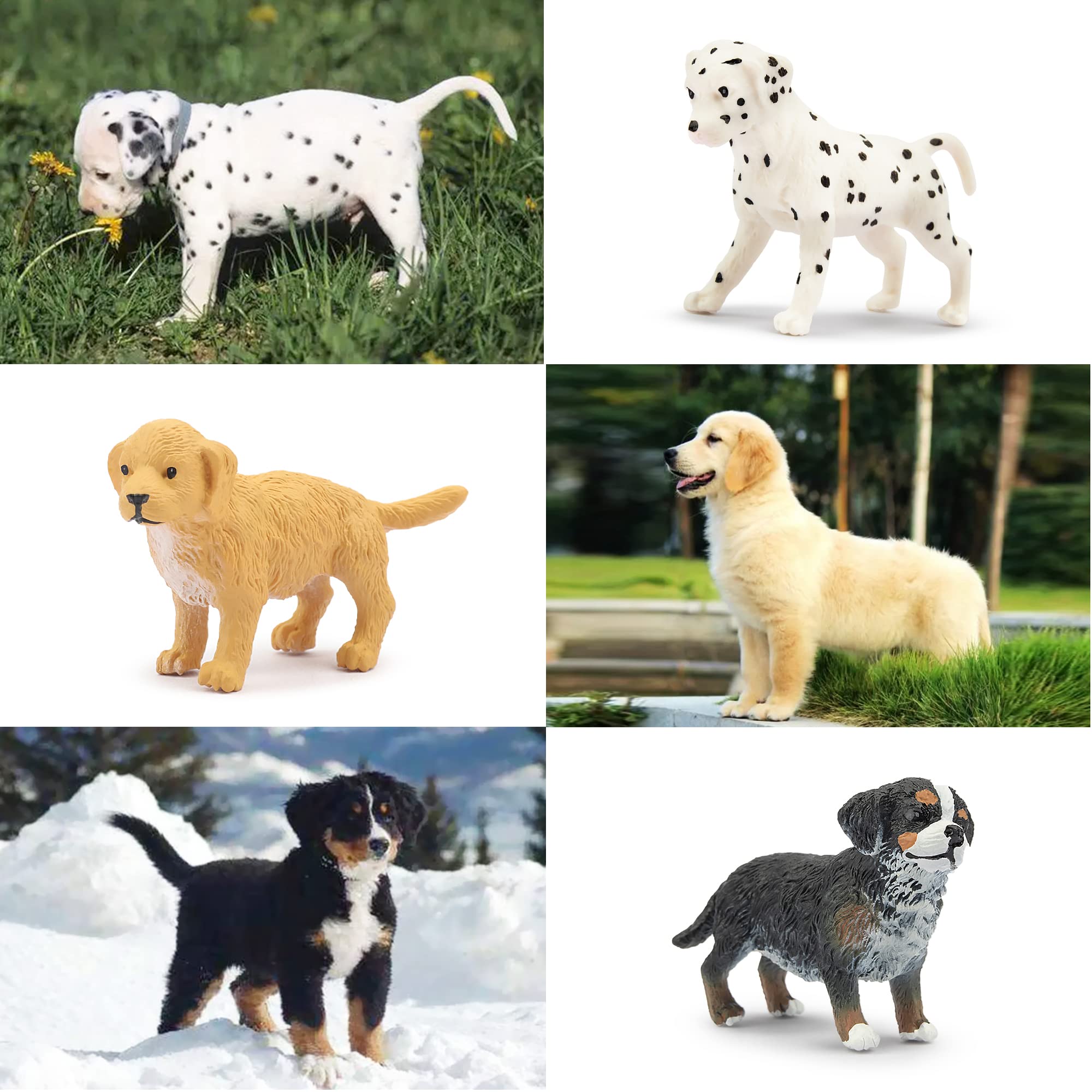 Toymany 12PCS Mini Dog Figurines Playset – Realistic Hand-Painted Puppy Figures for Cake Toppers & Kids’ Gifts