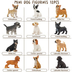 Toymany 12PCS Mini Dog Figurines Set – Hand-Painted Puppies for Play, Cake Toppers & Gifts