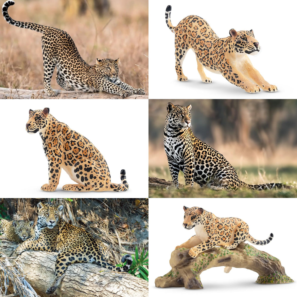 Toymany 7PCS Leopards Figurines – Realistic Jungle Family Playset & Cake Toppers