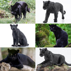 Toymany 7PCS Black Panthers Figurines – Panther Cub & Tree Trunk | Realistic Jungle Animals Playset & Cake Toppers