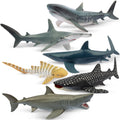 Toymany 6-Pack Realistic Shark Bath Toys – 5-6 Inch Figures, Cake Toppers & Gift for Kids