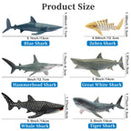 Toymany 6-Pack Realistic Shark Bath Toys – 5-6 Inch Figures, Cake Toppers & Gift for Kids