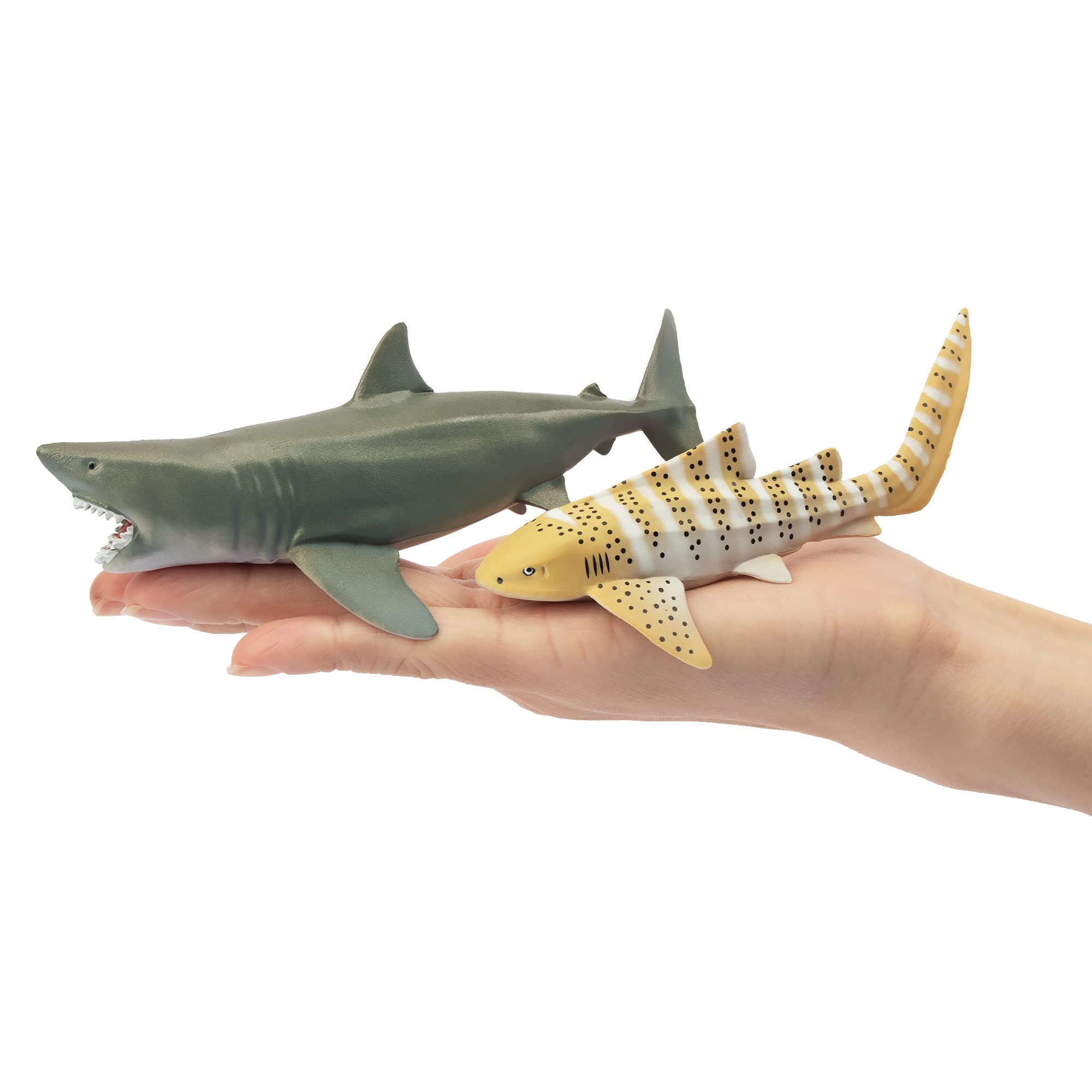 Toymany 6-Pack Realistic Shark Bath Toys – 5-6 Inch Figures, Cake Toppers & Gift for Kids