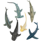 Toymany 6-Pack Realistic Shark Bath Toys – 5-6 Inch Figures, Cake Toppers & Gift for Kids