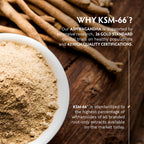 TRIBE ORGANICS KSM-66 Ashwagandha – 600mg, Vegan, Organic, 90 Caps