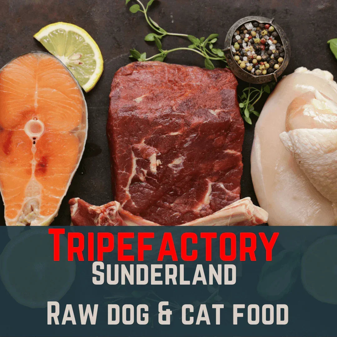 Tripefactory Sunderland - 1lb (Single) - Raw Dog & Cat Food