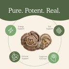 Real Mushrooms Turkey Tail Capsules – Organic, Vegan, 90 Count