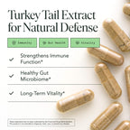 Organic Turkey Tail Mushroom Capsules – Immune & Gut Health (120 Caps, Vegan)