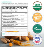 Organic Turmeric Ginger Black Pepper Supplement - High Potency Curcumin, 2 Month Supply