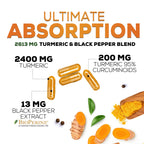 Turmeric Curcumin Supplement 2600mg – 95% Curcuminoids, BioPerine & Organic Turmeric – 240 Capsules | Made in USA