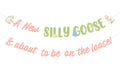 Two Wild Silly Goose Baby Shower Banner – Pink Floral Decor