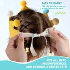 Ulibanner Reusable Birthday Crown with Adjustable Numbers – Ginger & Yellow for Kids