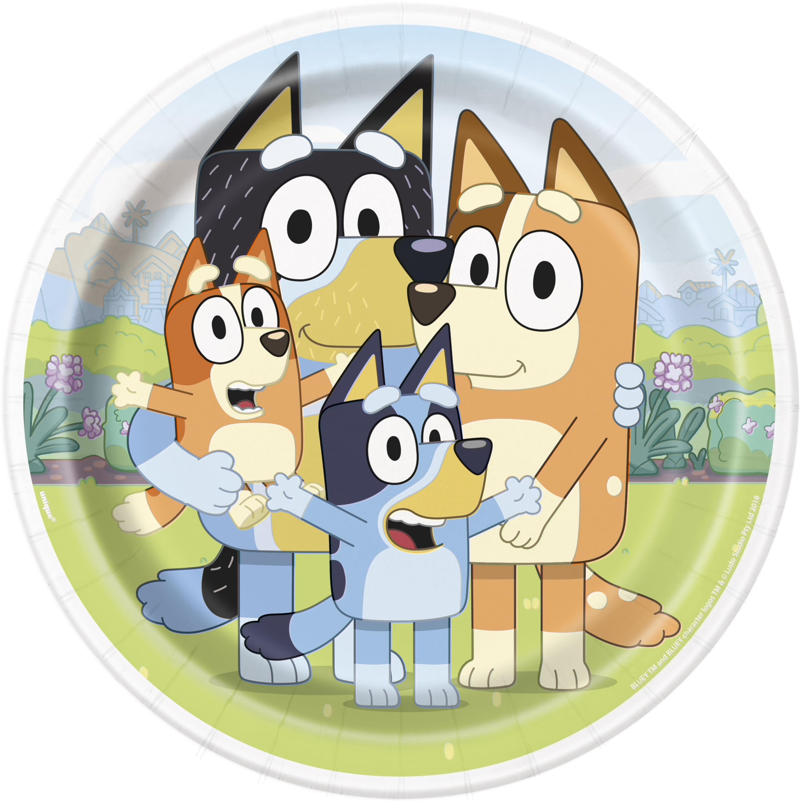 Unique Bluey Birthday Party Decor Set for 16 Guests – Plates, Napkins, Forks & Sticker