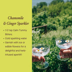 Urban Moonshine Calm Tummy Digestive Bitters – Organic Ginger & Chamomile