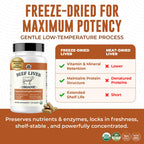 USDA Organic Beef Liver Capsules – Grass-Fed & Pasture-Raised in Australia | 180 Capsules