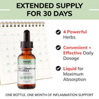 USDA Organic Inflammation Support – Turmeric Curcumin, Boswellia, Ginger Drops