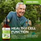 Herbal Goodness Organic Soursop Graviola Leaf Extract 1oz – 15X Concentrated Tincture | USDA Organic & Kosher