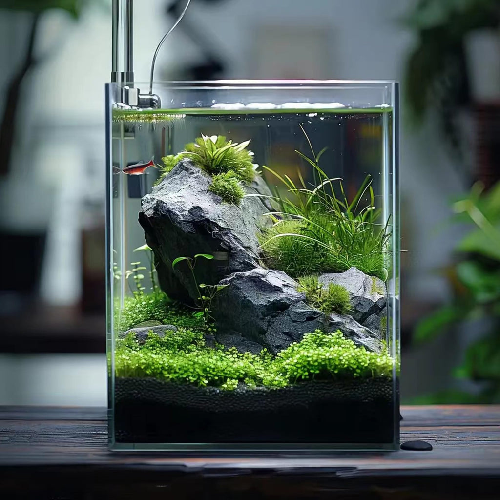 Vimvins 3 Gallon Glass Fish Tank – Small Desktop Aquarium for Betta, Shrimp & Plants