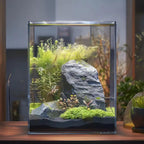 Vimvins 3 Gallon Glass Fish Tank – Small Desktop Aquarium for Betta, Shrimp & Plants