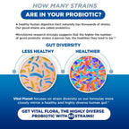 Vital Flora Probiotics for Women – 60 Billion CFU, 60 Strains, Organic Prebiotics | Vital Planet