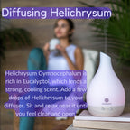 Vitality Extracts Helichrysum Essential Oil 10ml - Skin Care & Aromatherapy