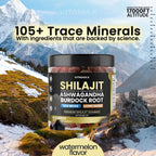 Organic Shilajit Gummies with Sea Moss & Ashwagandha – Watermelon Flavor, 60ct – Vegan, Non-GMO, Made in USA