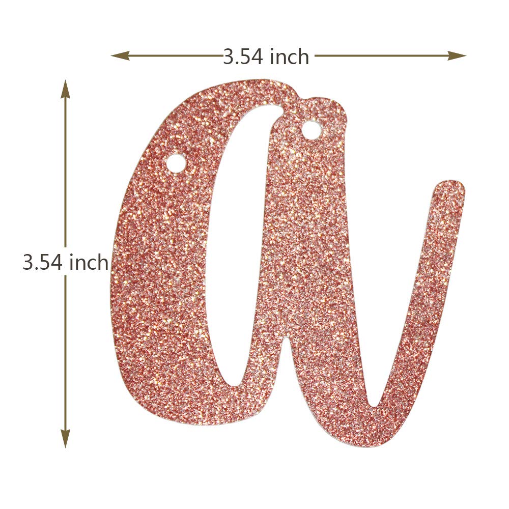 Westlili Happy Sweet 16 Banner Pink - 16th Birthday Party Supplies | Sweet Sixteen Decor