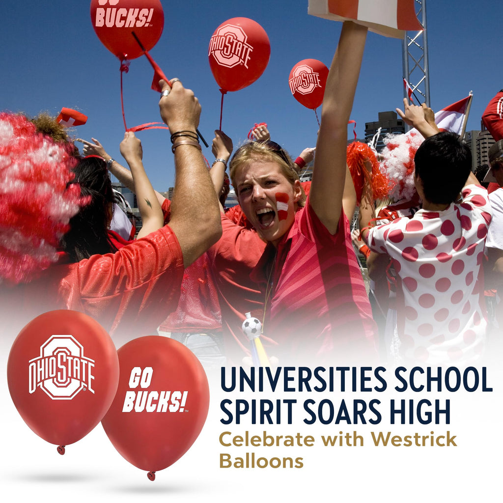 South Carolina Gamecocks Balloons - 10 Pack 11-Inch Helium-Quality Latex by Westrick