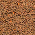 Organic Brown Lentil