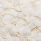 Organic Dried Coconut Chips
