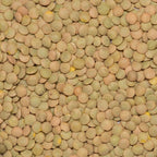 Organic Green Lentils
