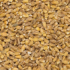 Organic Dried Pearl Barley