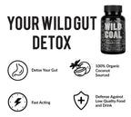 Wild Foods Activated Charcoal Capsules – 120 Capsules (Two Bottles) | Organic Coconut Shells | Lab Tested & Non-GMO | Detox & Bloating Relief | USA