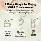 Wild Foods Lions Mane Powder 10:1 Organic Mushroom Extract – 4 oz Pack of 2 | Brain Health & Focus