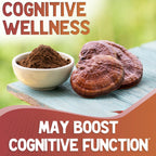 XPRS Nutra Organic Red Reishi Powder - 16 oz | Cognition & Longevity (Vegan)