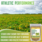 XPRS Nutra Organic Rhodiola Rosea Powder – Premium USDA Organic (4 oz)