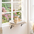 PawHut Cat Radiator Bed, Adjustable Hanging Cat Hammock with Removable and Washable Cushion for Indoor Cats, Cream White