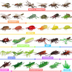 Yeonha Toys 76 Pack Mini Plastic Bug Set – Realistic Insects for Play, Education, Party Favors, Cupcake Toppers