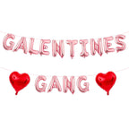 YNITSED Galentines Gang Rose Gold Letter Banner – 16in Galentines Decor