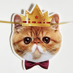 YUNSHANGMO Happy Birthday Cat Banner Garland — Cat Face Birthday Decor with Gold Sign, Premium Cardstock