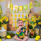 ZAIBIANHAO Lemon First Birthday Banner – Lemonade 1st Birthday Party Decor