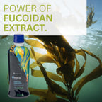 Youngevity ZRadical Fucoidan: Organic Maritech Extract + Cofactors | Immune Support | 32 fl oz x4